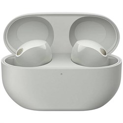 Беспроводные наушники Sony WF-1000XM5 Silver rorcKSwBhF8vZgvwy6HlY2 - фото 30172