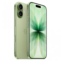 iPhone 17 256GB Sage (eSim) YjF33Lq6hTefCuNRepUAu1 - фото 34588