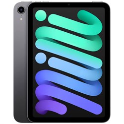iPad Mini 6 (2021) Wi-Fi 256GB Space Gray GLsNx3SXhJ4yTZVvqipv22 - фото 35337