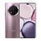 Honor X9c 12/256GB Titanium Purple UOF44J3giKJvpC4r4OTgD2 - фото 27879