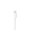 Наушники Apple EarPods Lighting hbb0WlDIiobopebX7Dudp1 - фото 30054