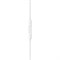 Наушники Apple EarPods USB Type-C rsk6hdOQhlzDcwWBo0E--1 - фото 30063