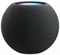 HomePod Mini Space Gray MJIrsNTfj7F5-ouCuVWUx1 - фото 31545