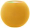 HomePod Mini Yellow kTBHQY00iKUSayp-2P4k41 - фото 31556