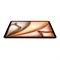 iPad Air 11 M2 (2024) Wi-Fi 128GB Starlight sysbV38FhlPlgCv0dx5Gx0 - фото 34221 iPad Air 11 M2 (2024) Wi-Fi 128GB Starlight sysbV38FhlPlgCv0dx5Gx0 - фото 34221