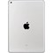 iPad 9 10.2 (2021) Wi-Fi + Cellular 256GB Silver QaI4j3EEgdnMrLGI3Dkq02 - фото 35078