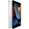 iPad 9 10.2 (2021) Wi-Fi + Cellular 256GB Silver QaI4j3EEgdnMrLGI3Dkq02 - фото 35079